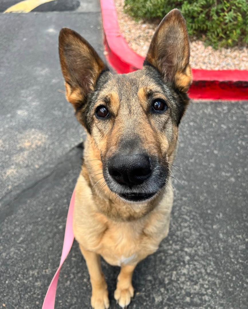 0634c56c-0946-4882-b84c-54385a1e18c0