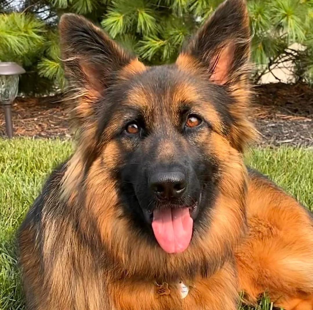 0ef621c3-ea51-460f-bece-137e08c87d56