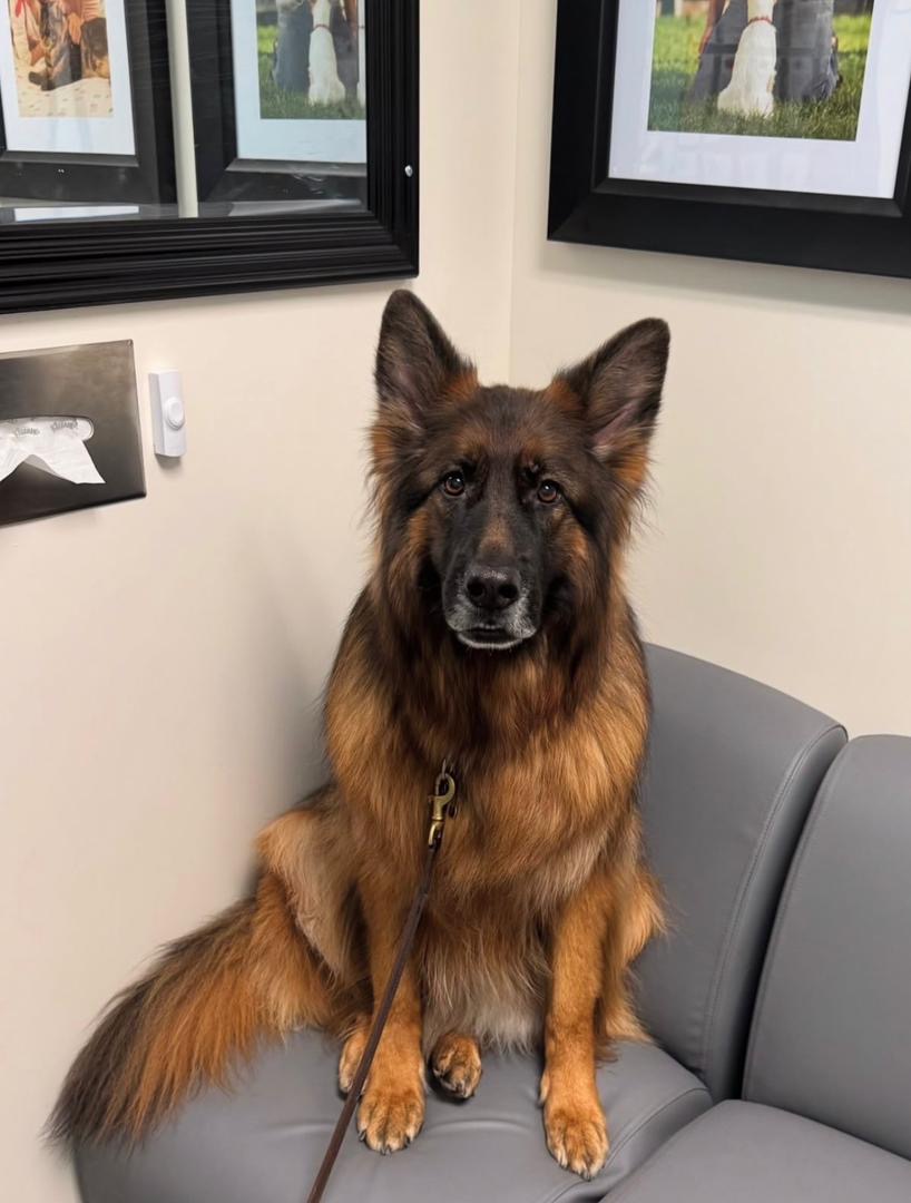 0f4e1466-e5e2-418e-887e-ce53bb3b1fb7