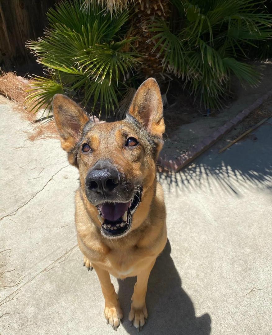 118fc243-5b94-460b-9083-9c0c7f2766e9