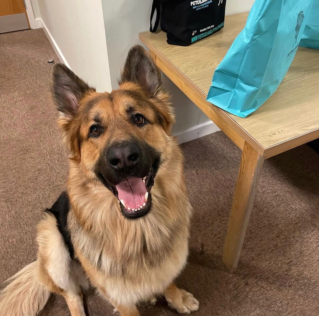 166a9691-e6d9-402a-99c6-e24c5284443b