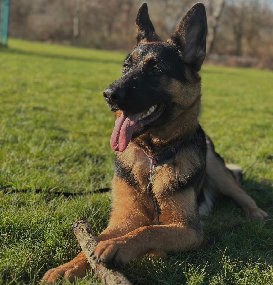 17d5b2f7-ef3f-434a-a1f0-29bd61cfae42