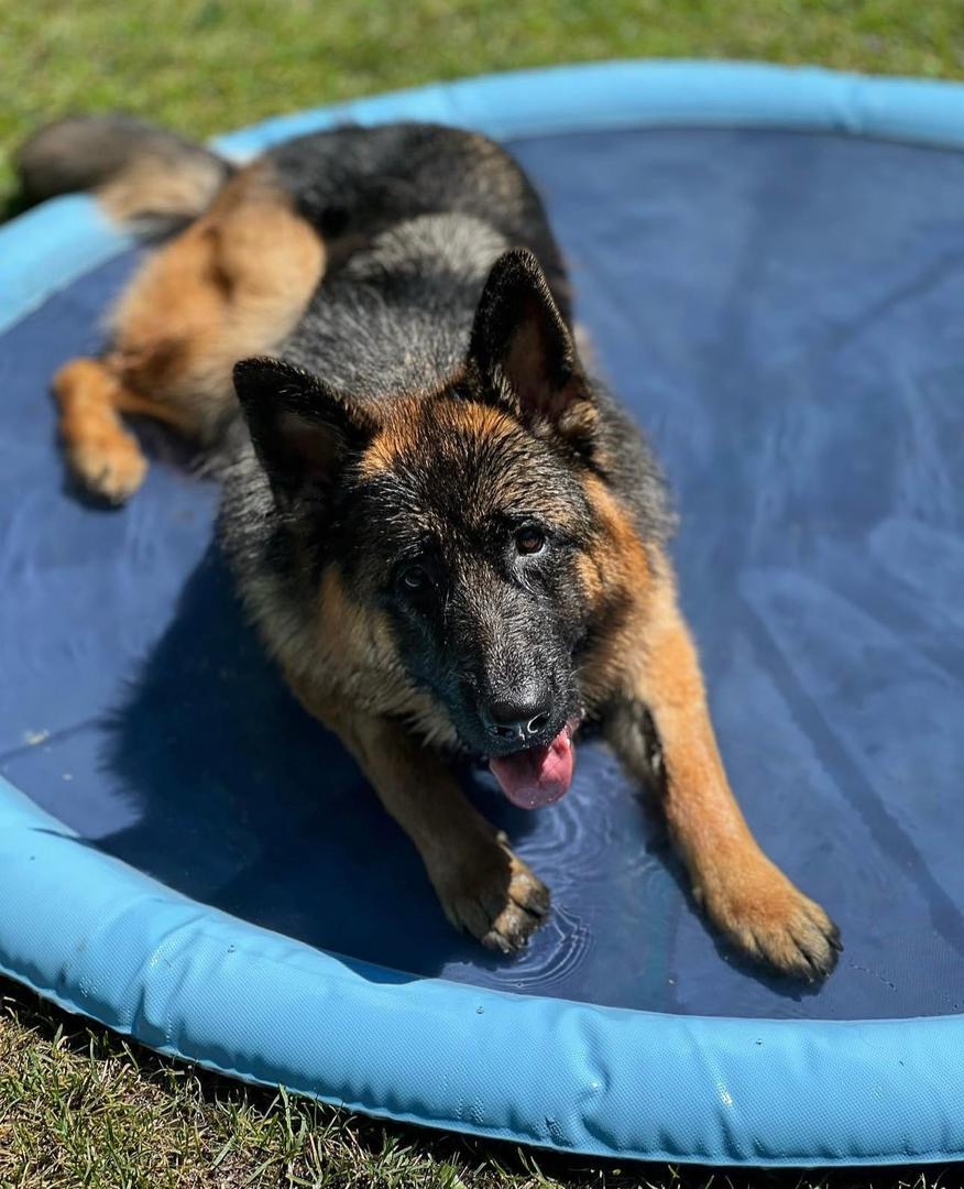 22d6df25-87a7-42c7-91d9-eb4b64d897bf