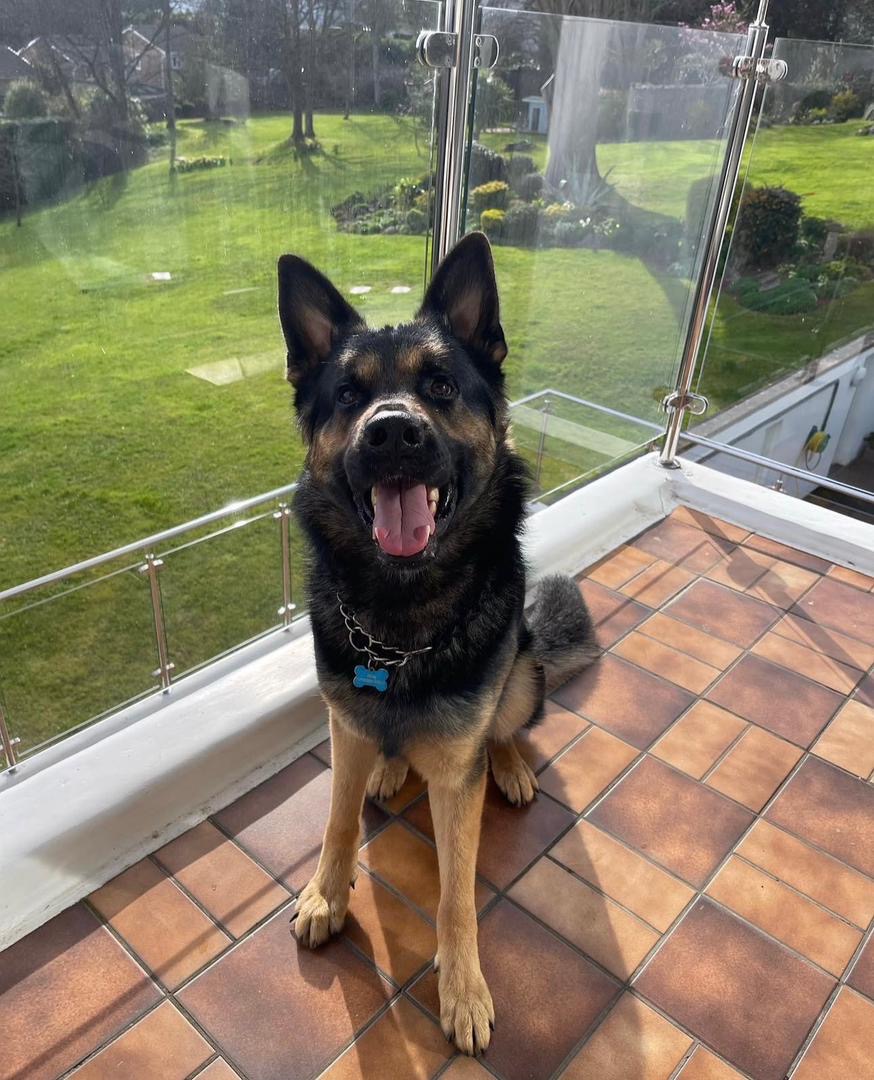 2c935d13-a1cc-42fb-a55a-a9b2f6552ccd