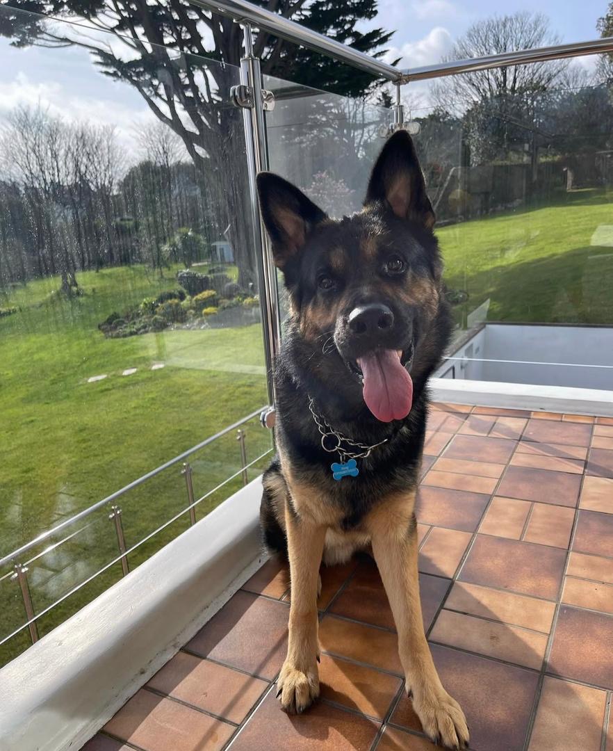 2ed24f70-caf6-47ad-a2e9-3df638c60782