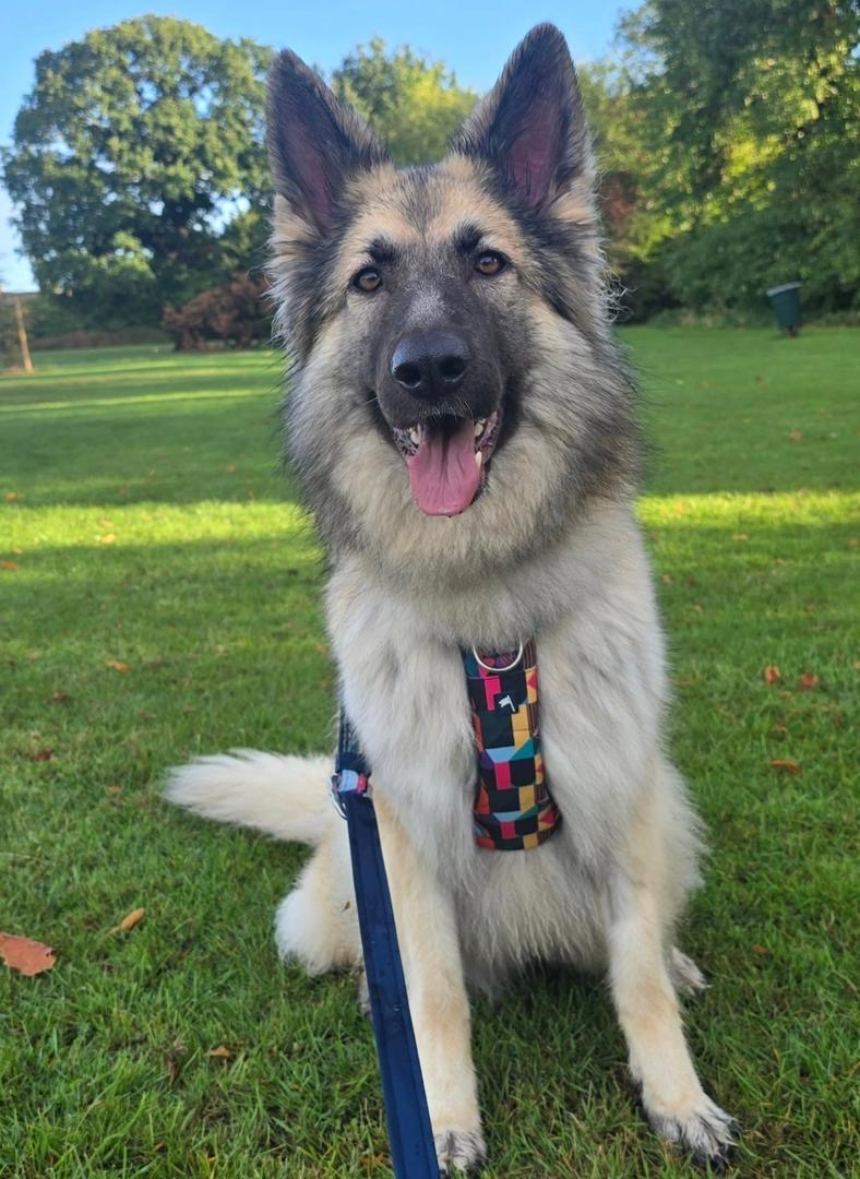 2fc87874-1825-43f6-a31d-e8e3a3be4686