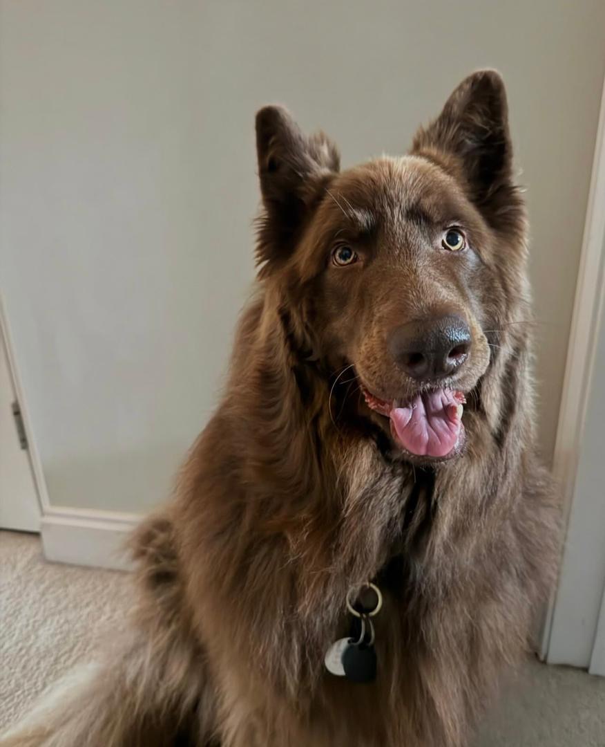 3236cb80-f7e9-4571-840e-b1776944f91d