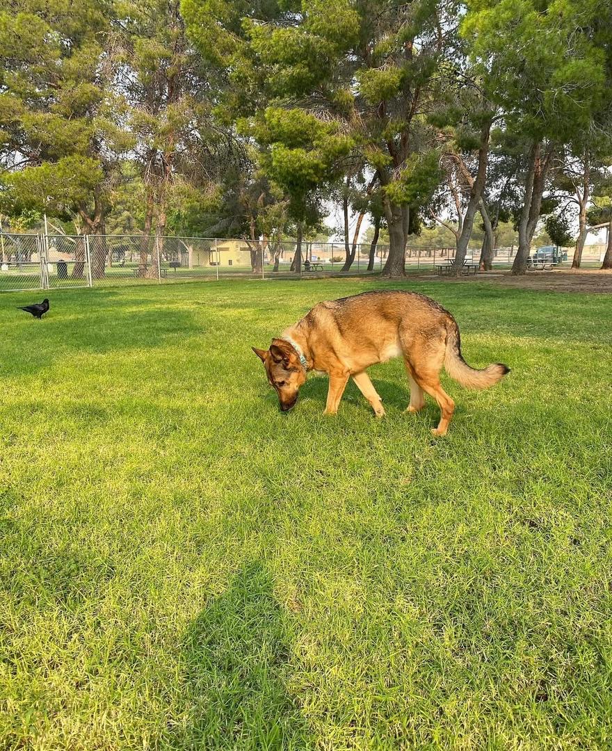 392483a1-4aeb-4abc-9789-6a49f7f1d37d