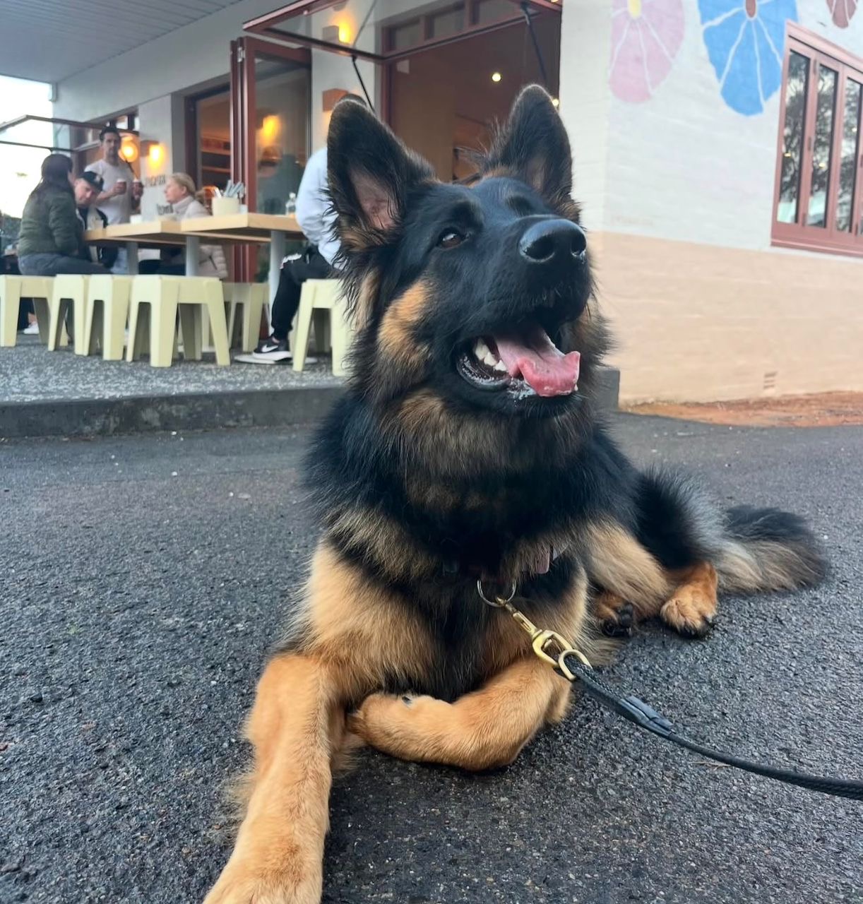 3ee49061-0c73-4c56-86bf-61f227dc9fcb