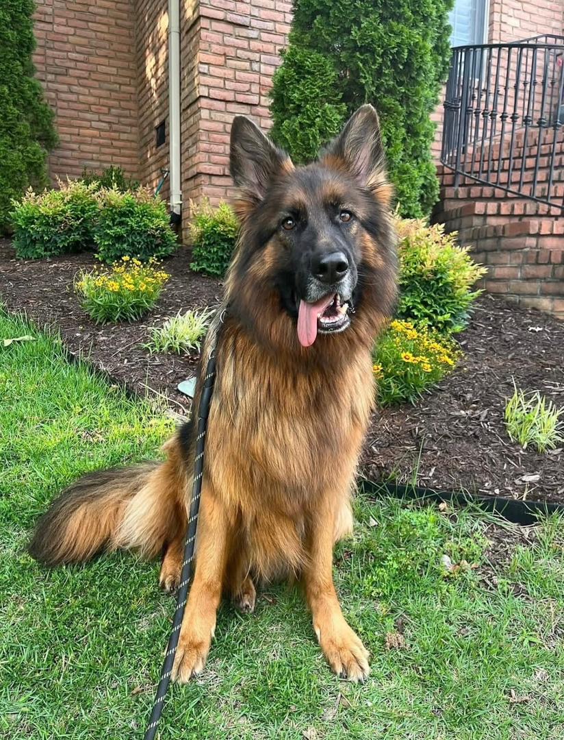 4ca8bf22-b190-4658-a886-04e44cbeb8b1