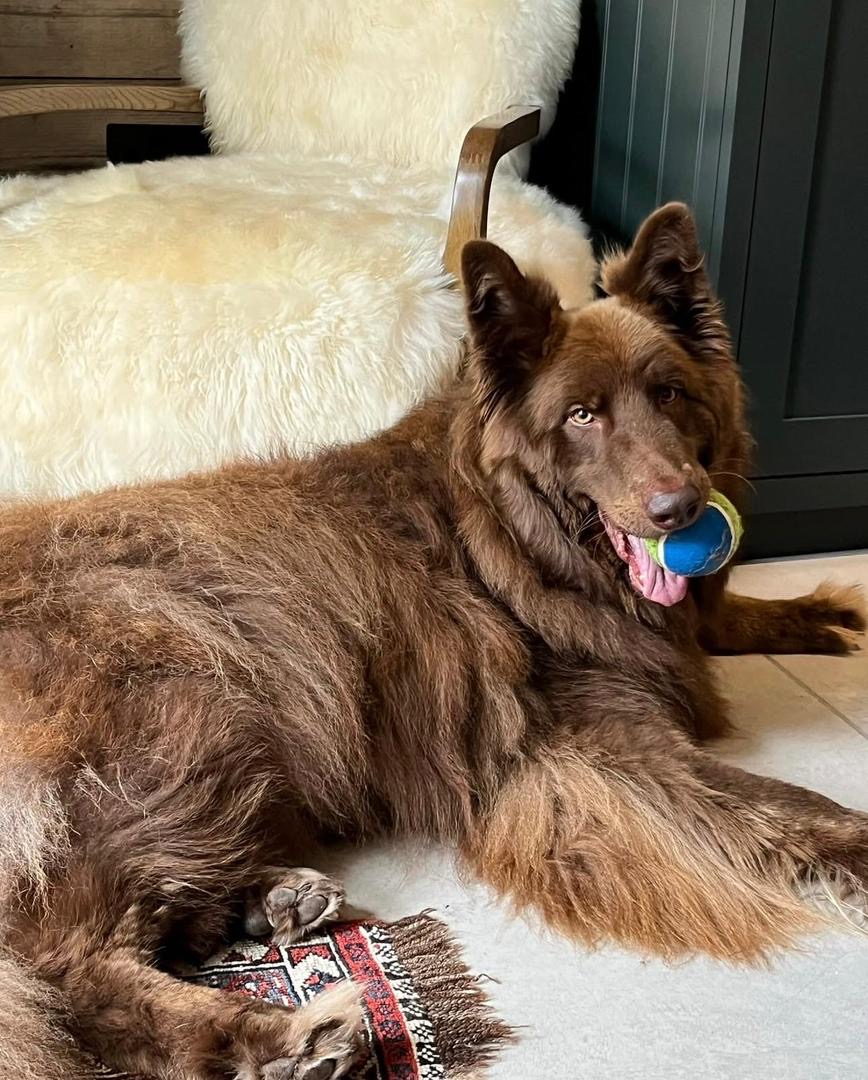 4f146dfe-7fdb-4523-b0b1-5f95160bf932