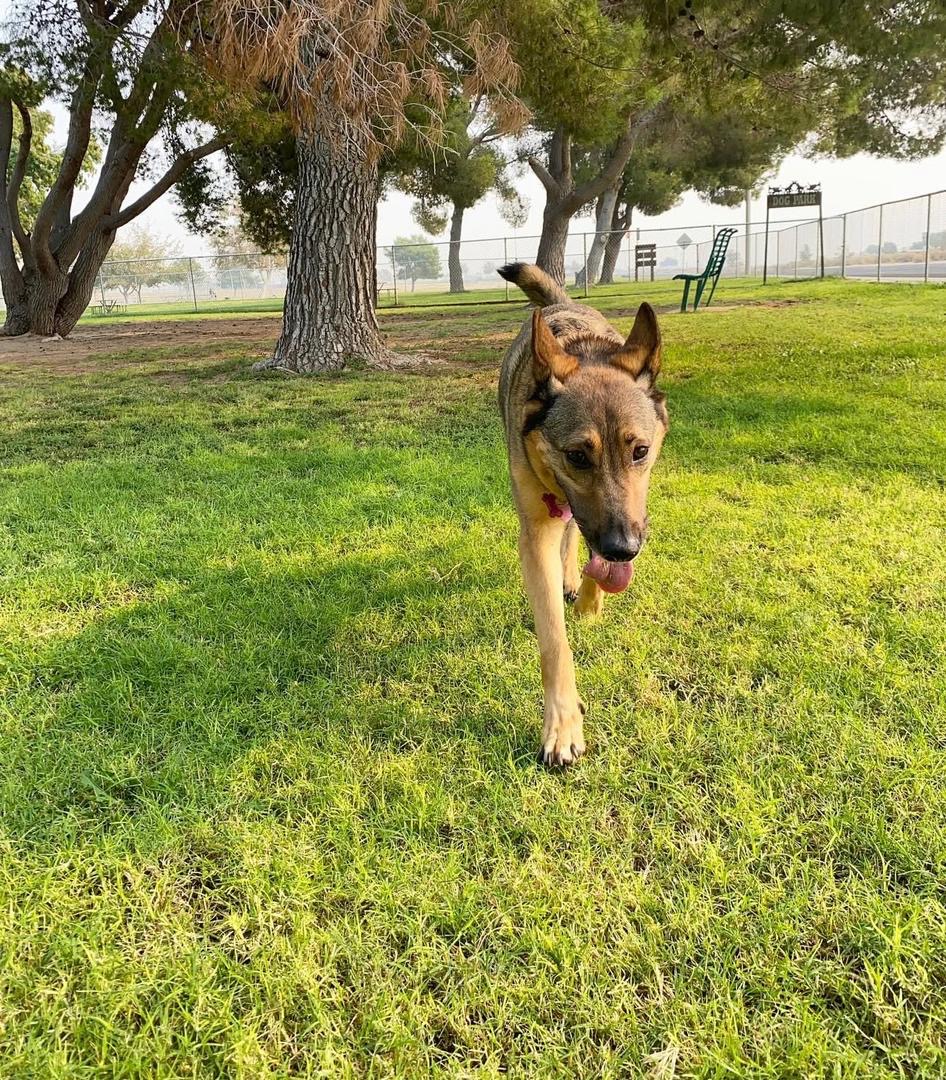 4fc8567b-3e43-47d9-8c2b-60af4ec77777