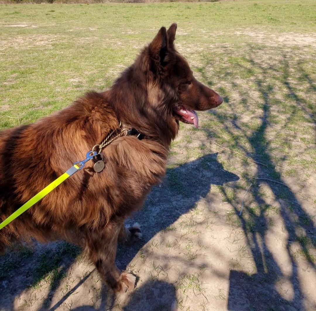 541e24e4-9ff2-41cc-85b6-97c5784f0076