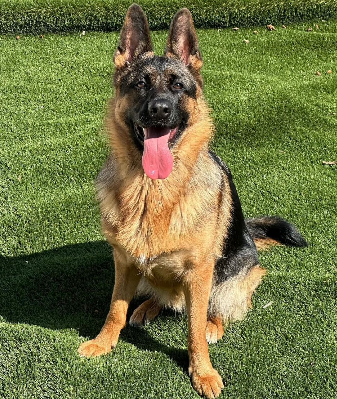 69495255-4aba-4587-92e0-535f1696761e