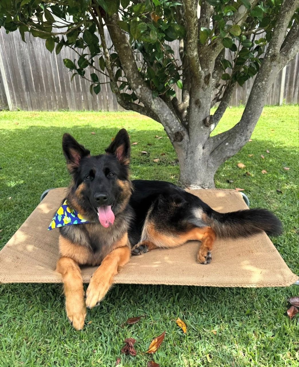 6deddaac-d3e3-4410-a311-91829ec31588