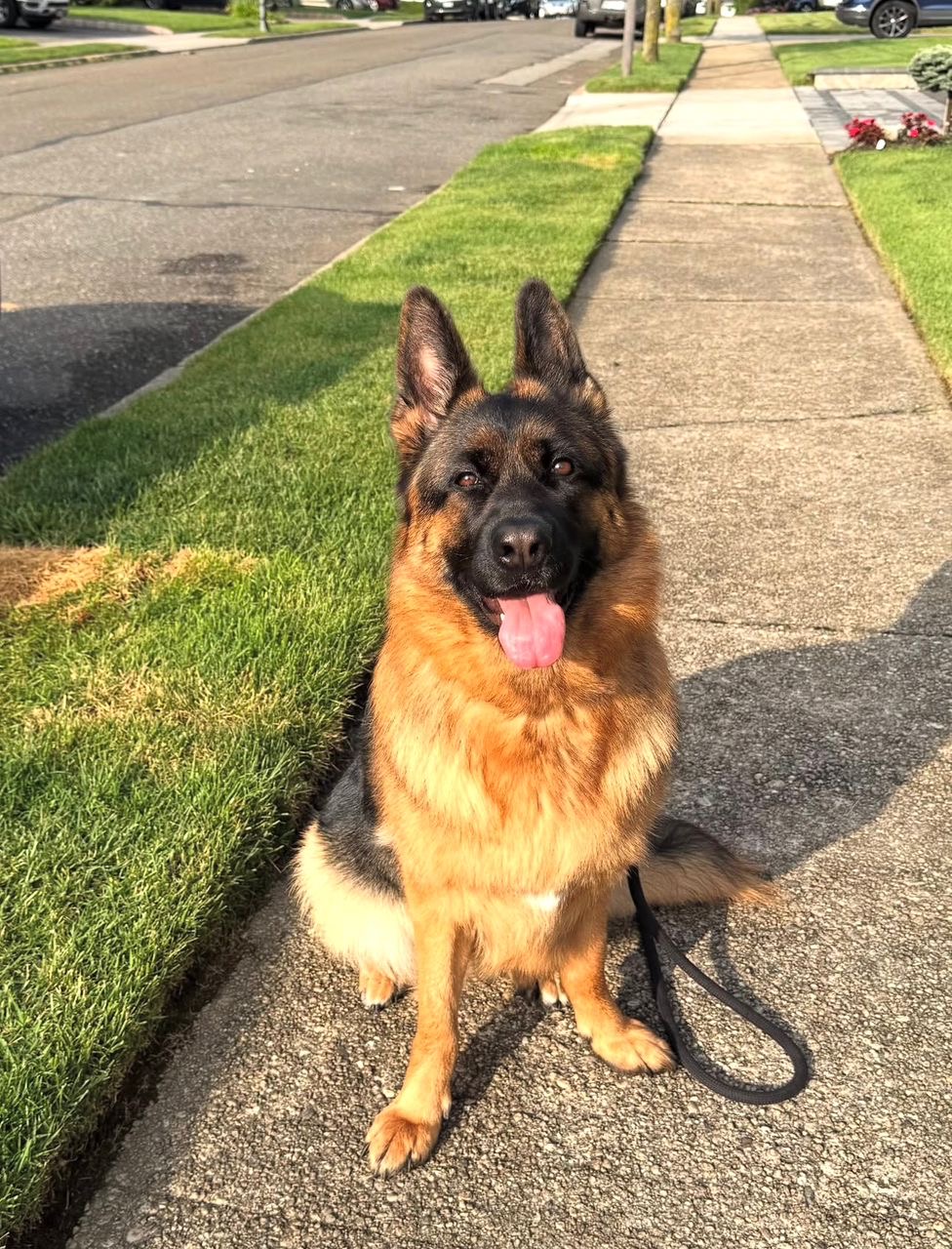 71179ef9-43d1-4025-a7de-59cf3d917c40