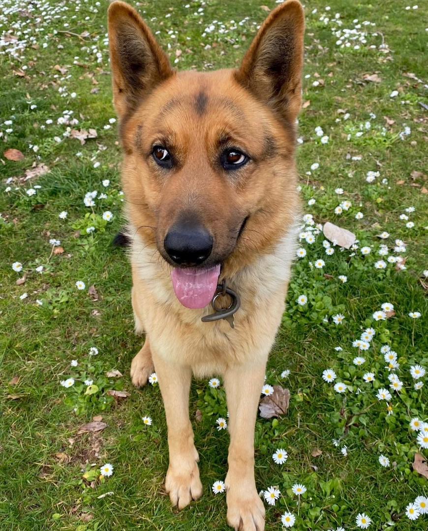 7d574570-bdad-4580-9c93-3540343a1ea9