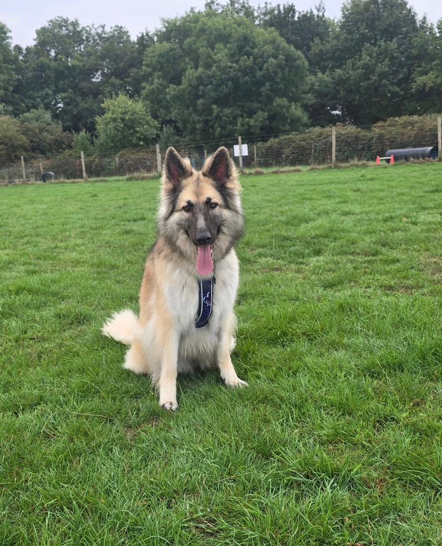 87c302e3-7acc-4fb1-a730-63c28fb78275