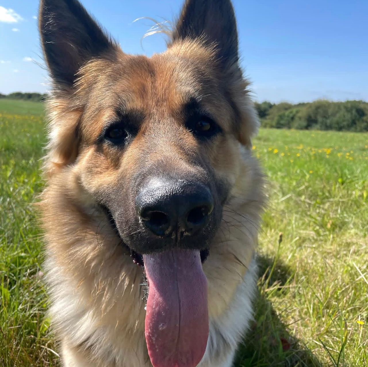 882d4bf2-0f72-4869-b1d3-d797d1dcb3f9