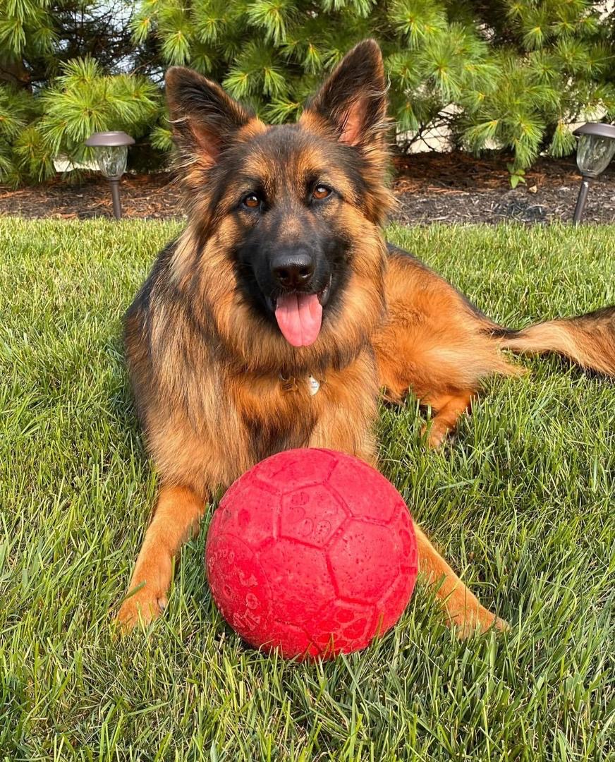 88793abb-0f0a-49cd-8e58-4ea2da95fe64