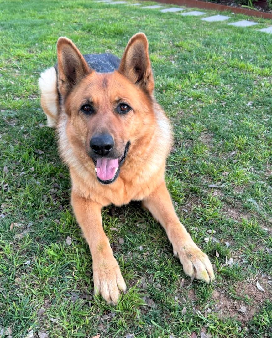 8b03870d-ab2d-449d-810d-bcb57aa65b19