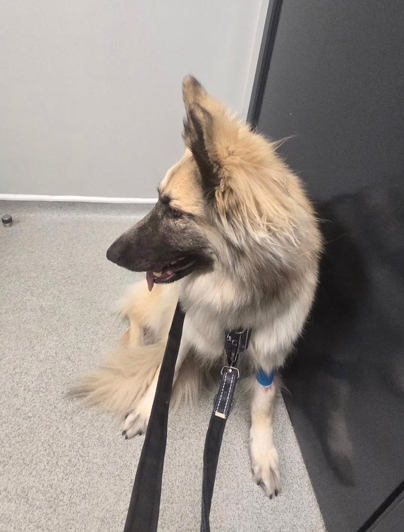 8beb09e1-3c5b-42da-9011-df38010f62ea