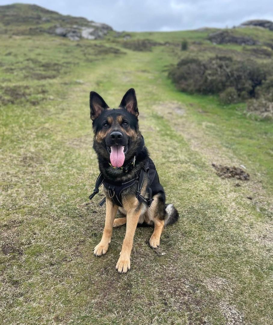 925d3f1e-f333-444b-a520-efe678e8c512