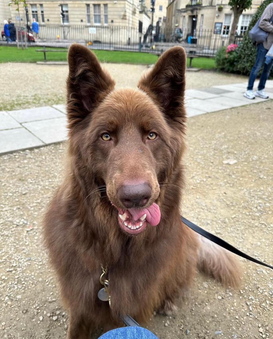 96620975-b5e1-439d-ad98-8050be7daa3d