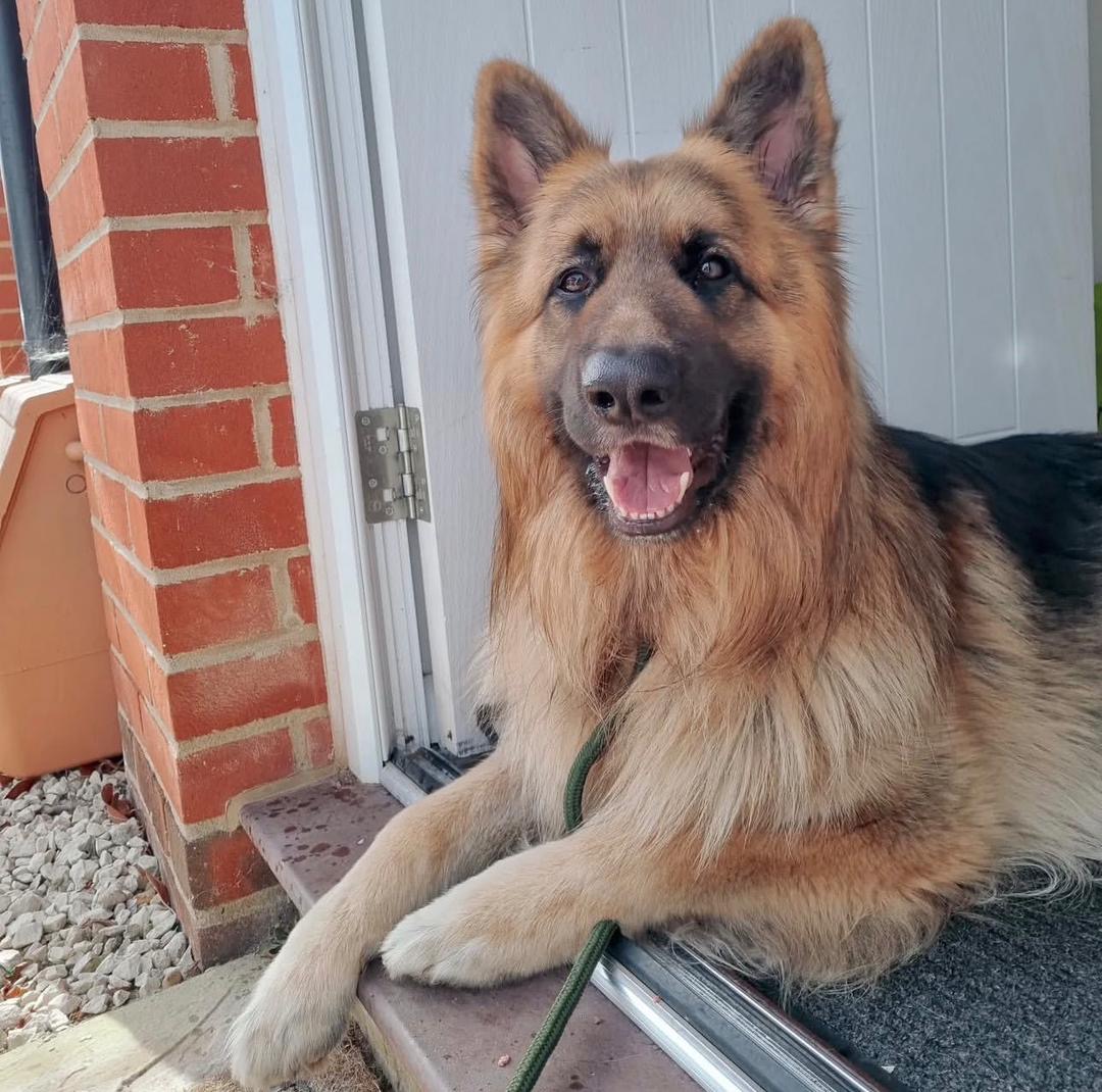 9b340aa2-7f42-4611-95a9-27aac1da1580