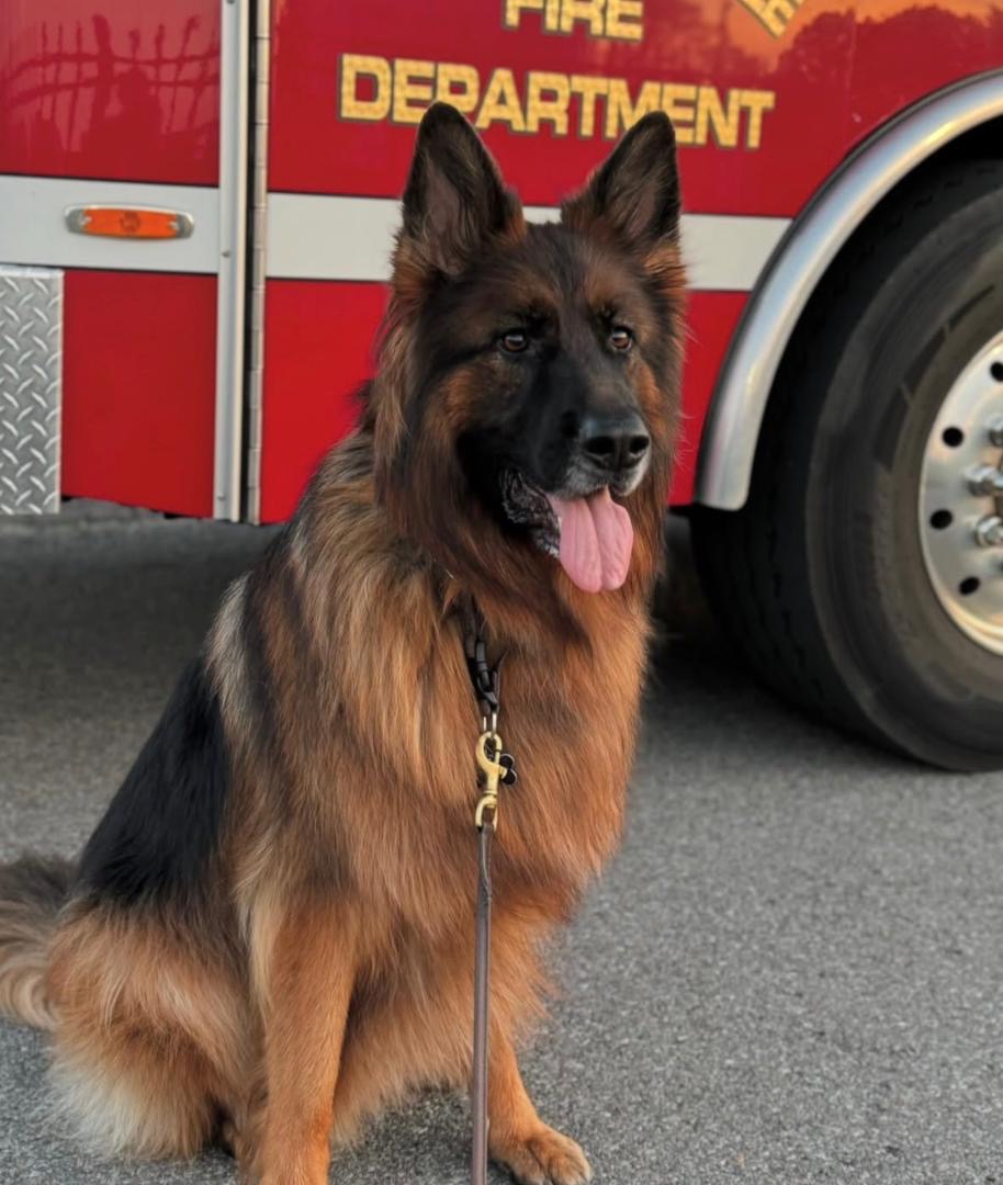 a1eda9ec-45c8-47bd-9e03-0b0c32aaf3f6