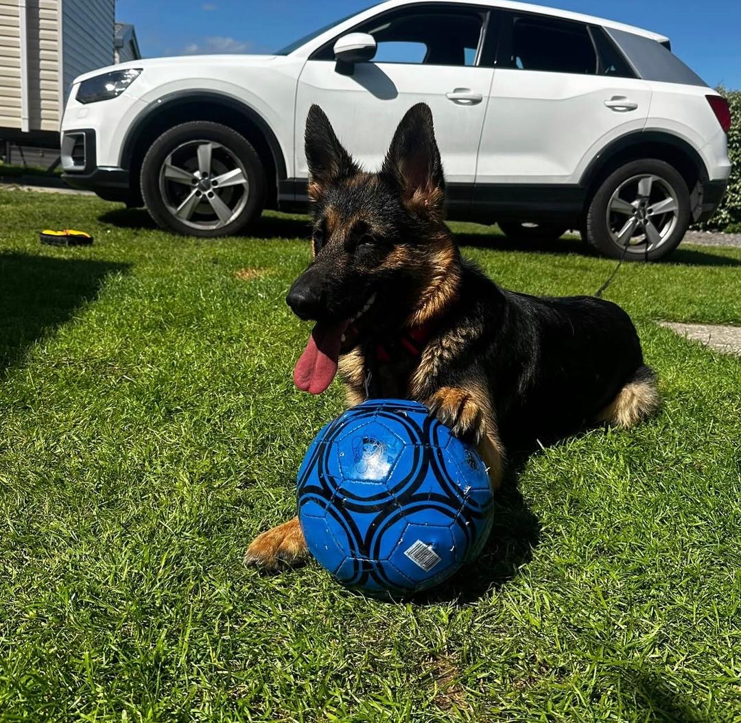 ad003afc-cc37-4c9c-a2b4-b0c8e3e50033