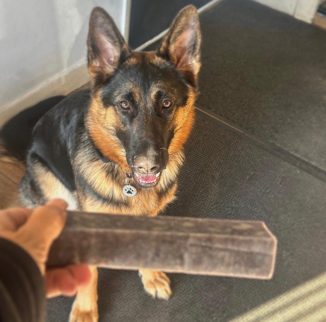 adc8d002-8bd2-41cd-9c3c-ecbe6b52e906