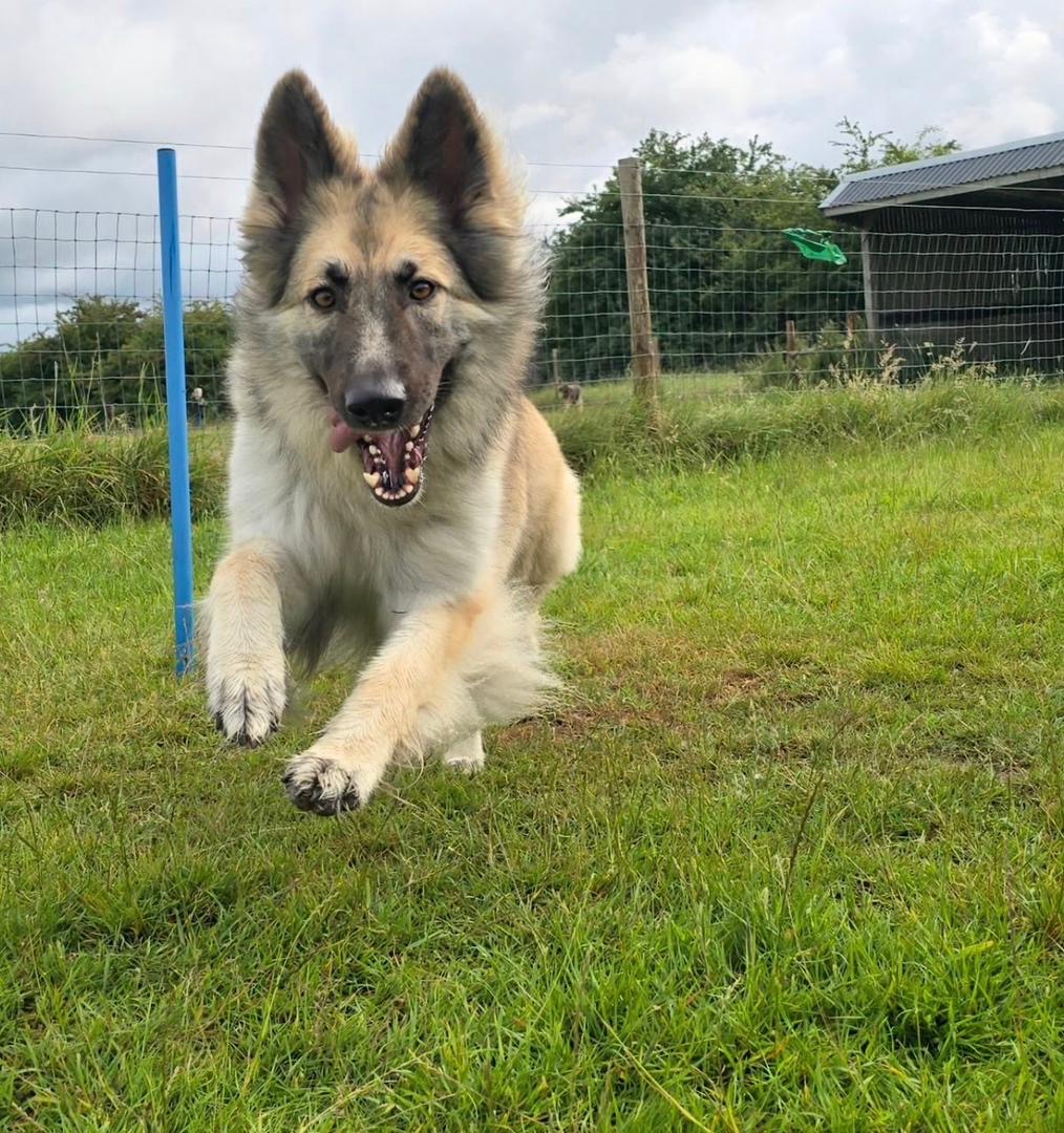 b26b61e7-e59a-4bab-8600-c352e2d62e75