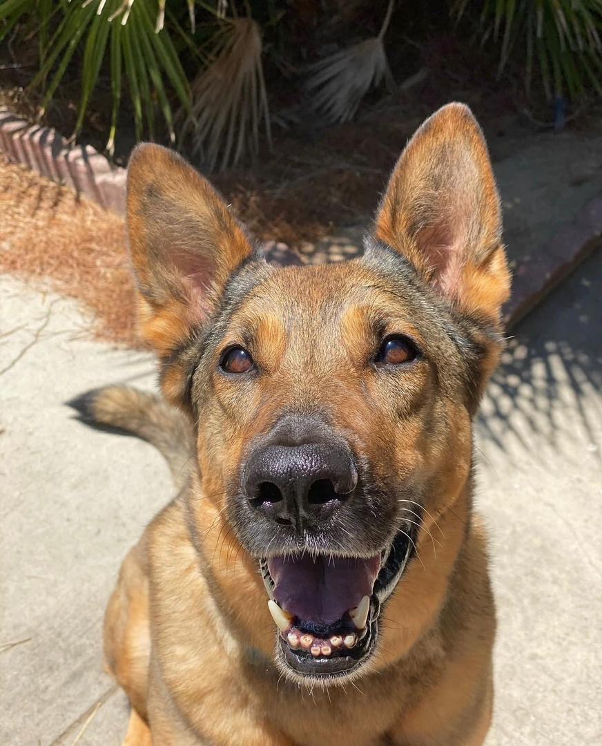 b9ba5f6e-3cc8-4400-a958-67cd2475a872