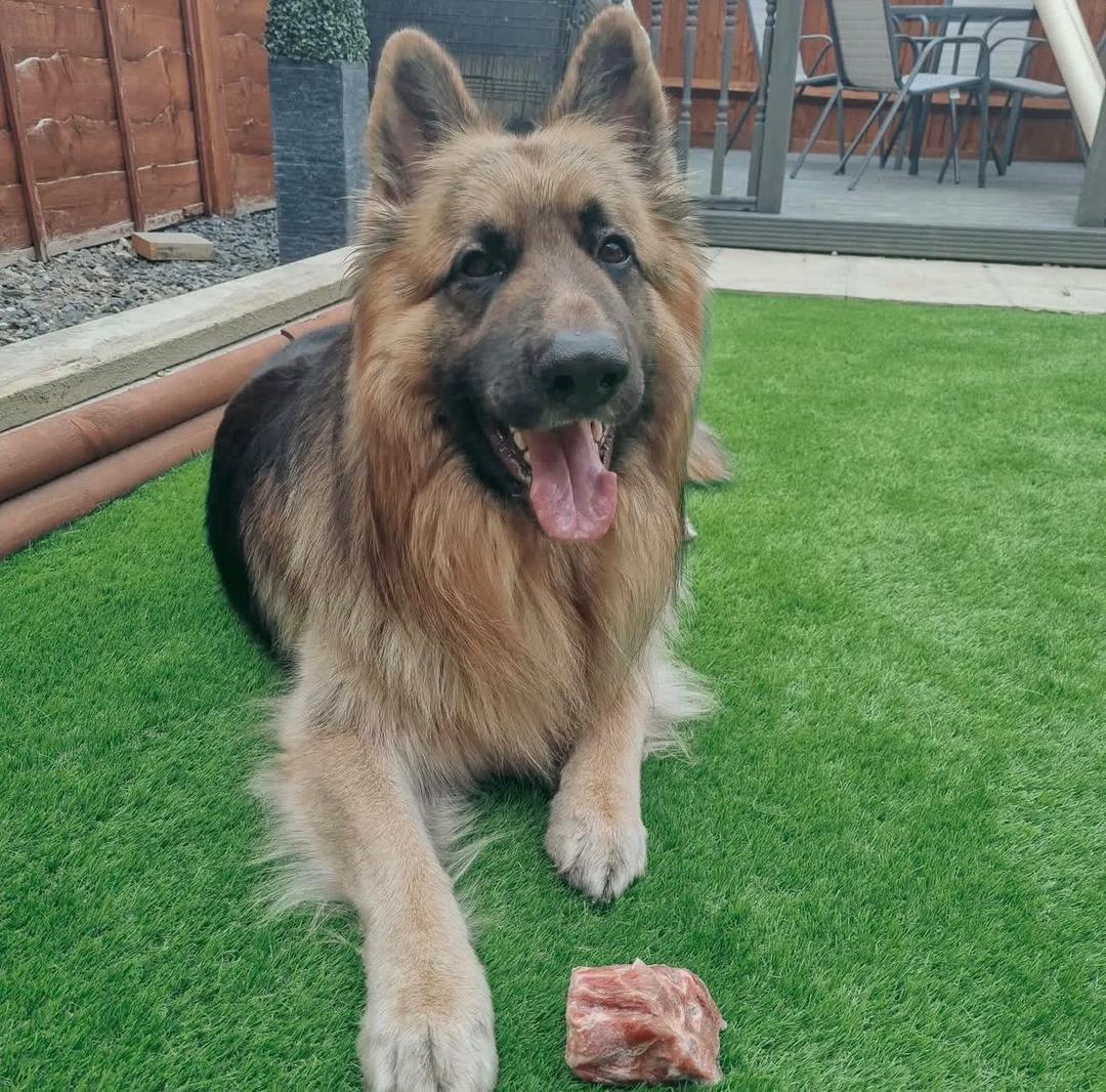 ba548518-b363-455c-bd44-068e3e403d63