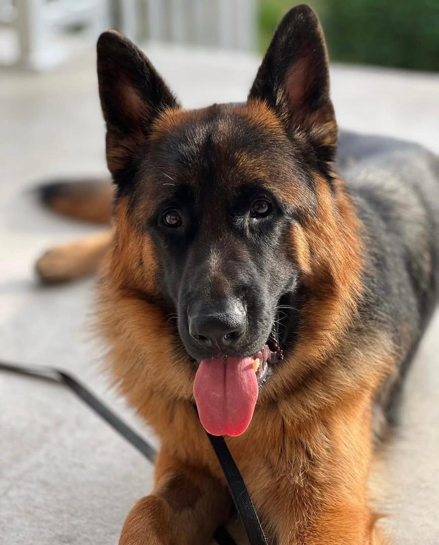 bce3d59d-980e-4178-aa35-7cd6bacbb124