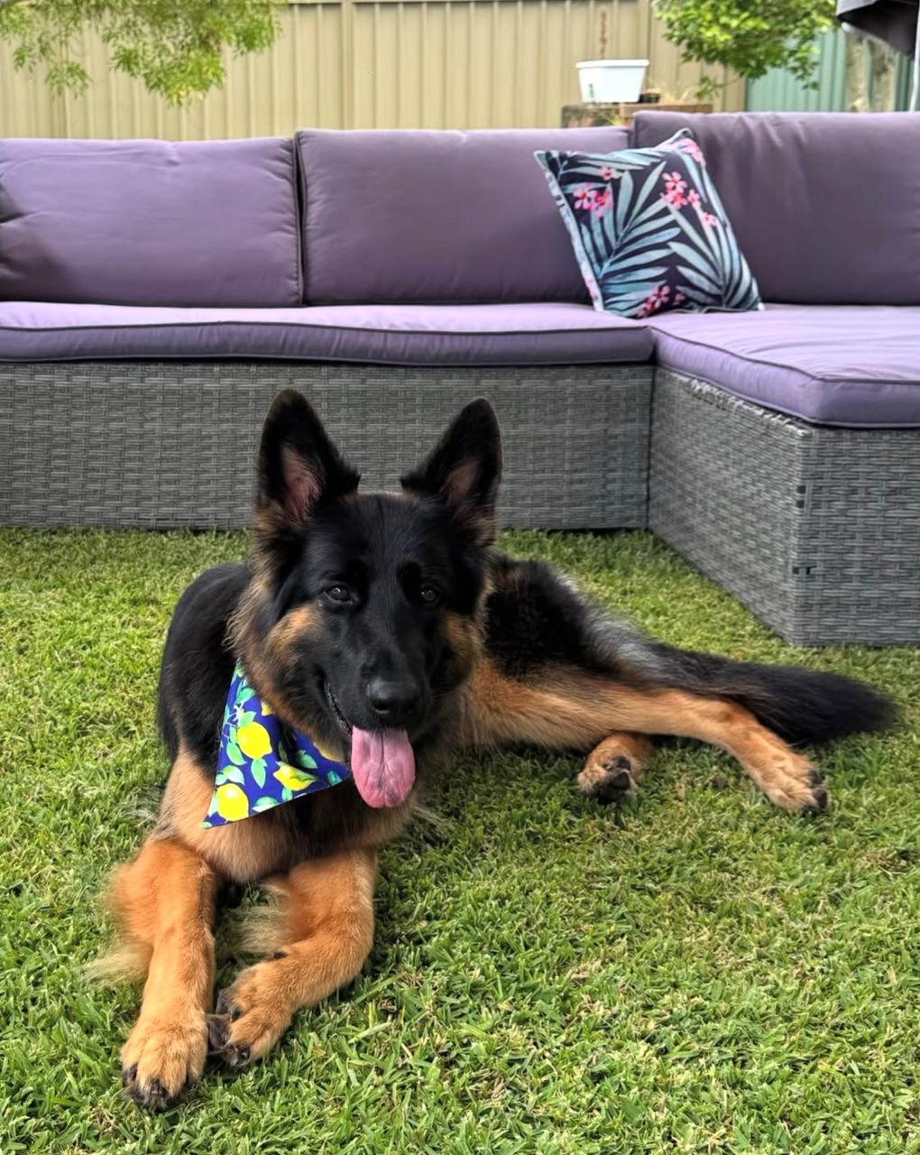 c00fe161-b1f3-4330-aefd-06daa30bebb3