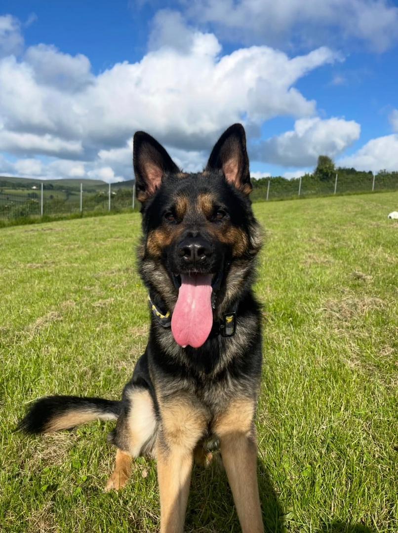 cc0bf2ac-74db-4b38-937f-812d4318cb1b