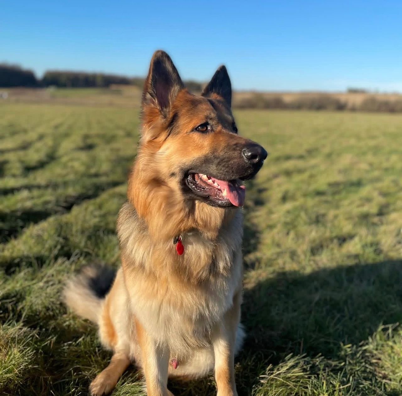 cdf54002-9816-48ae-b898-b8f9dcda56be