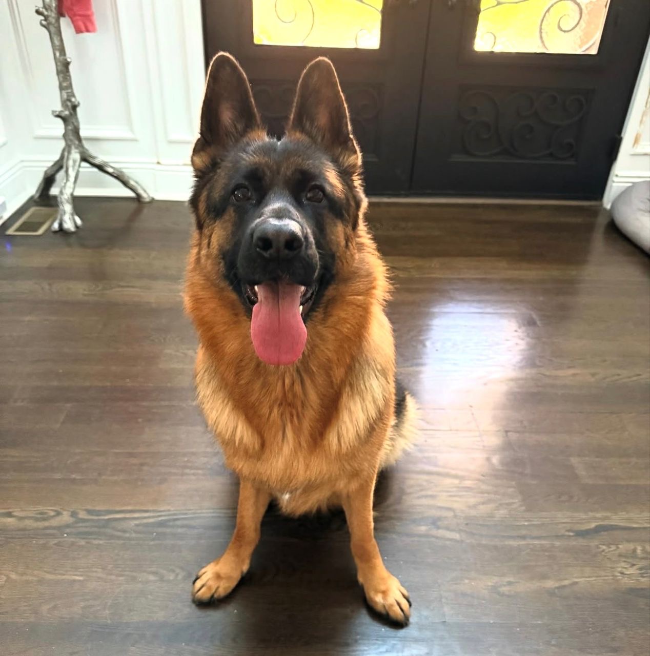 cef6036f-5dbd-4bf9-9100-b4273f204585