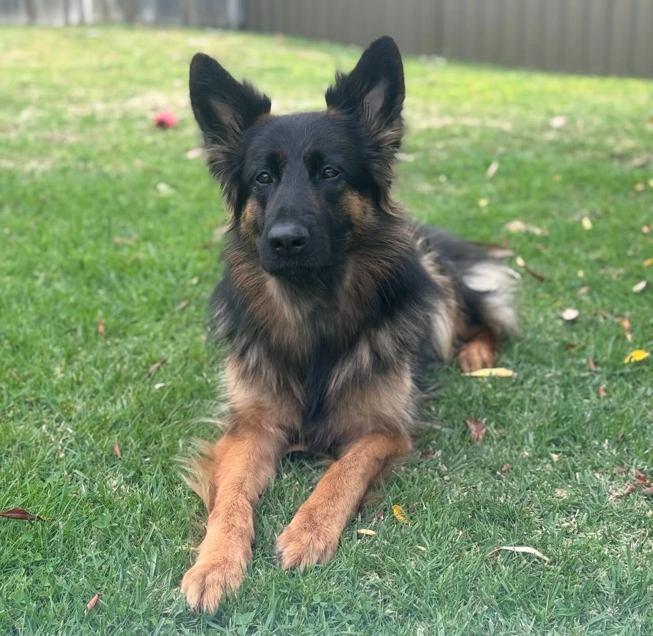 d7a87054-6c68-48b8-86e0-ad642f01e2e5