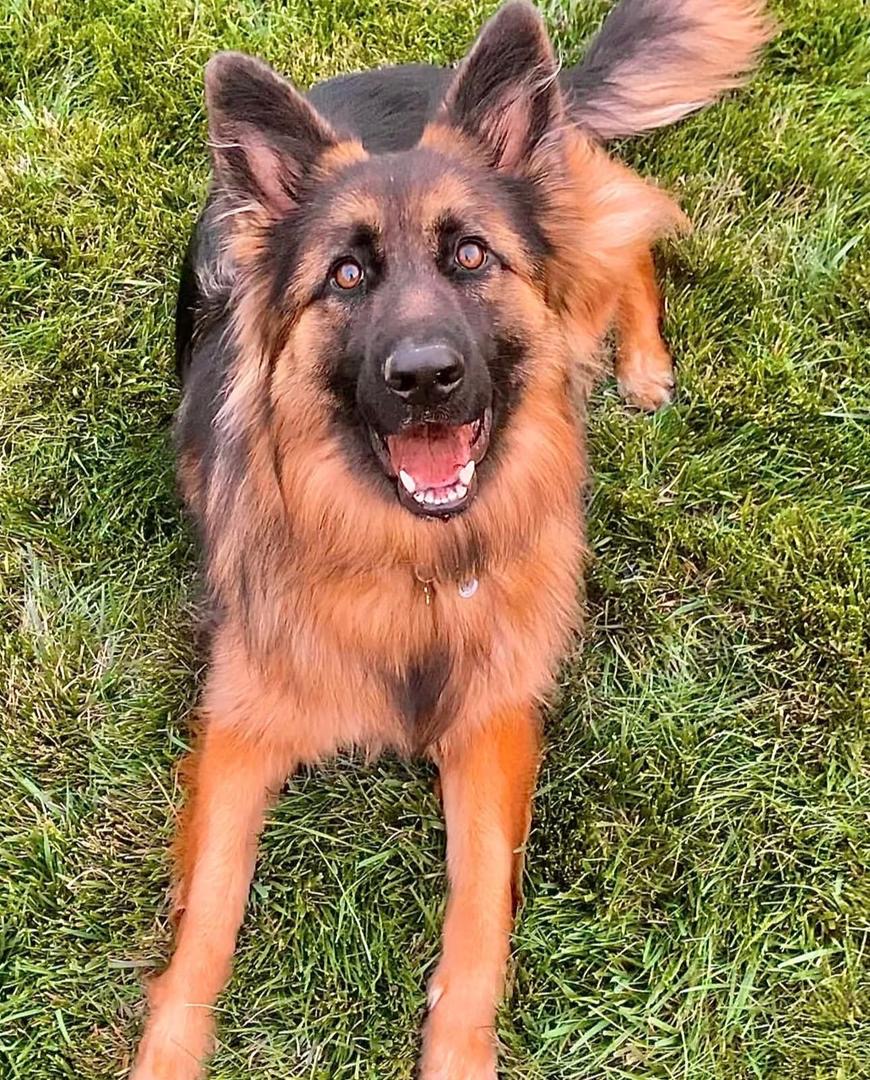 e42acdd2-c349-404c-b60d-3a6722edbe24