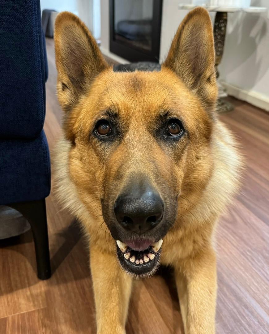 e810edae-0faa-4ff1-a069-859c59f52c90