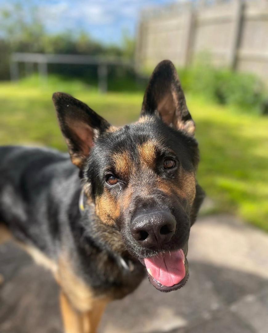 fb7230bd-72d6-4f5d-8dc6-c9dea38326c1