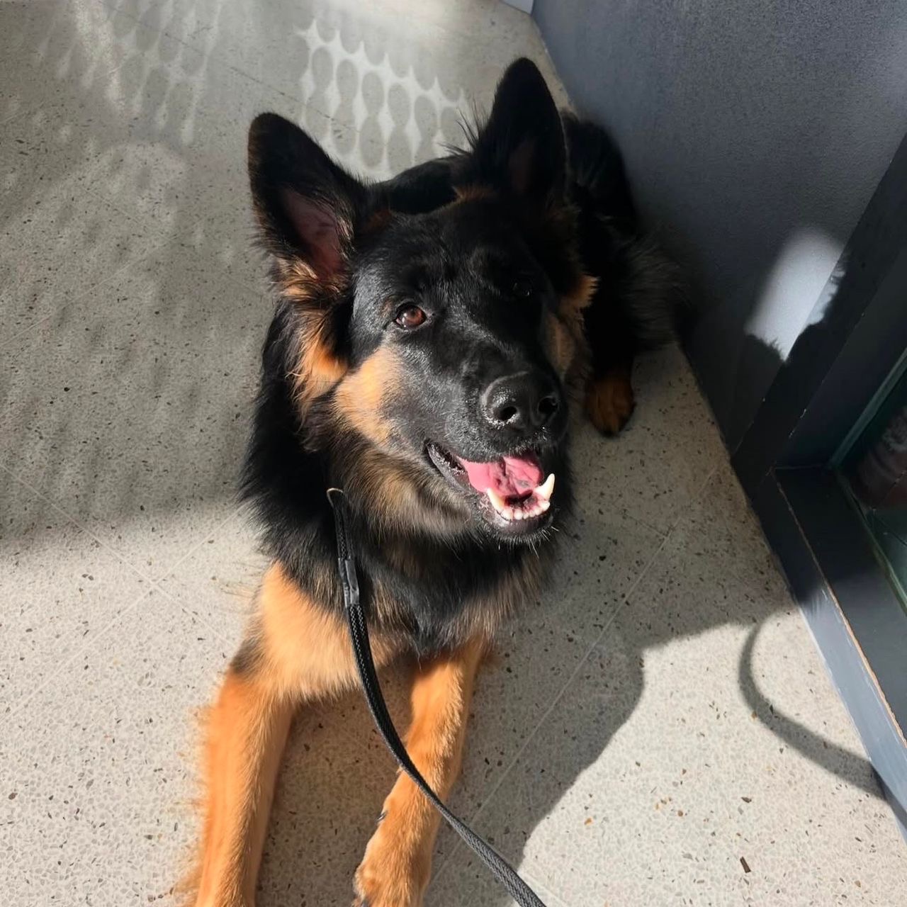 fc126efe-d0f5-4e89-9195-3a5de84f8a04