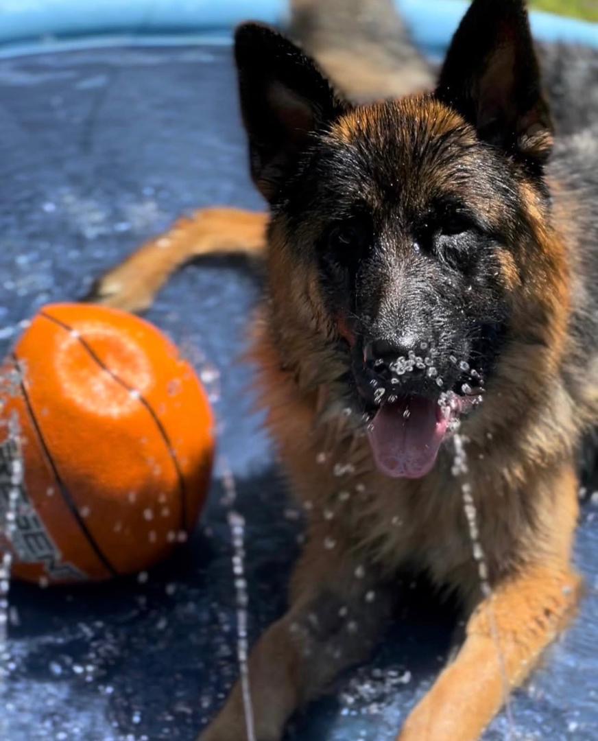 fe4c0838-e732-4260-9b4a-0497defd1b9e